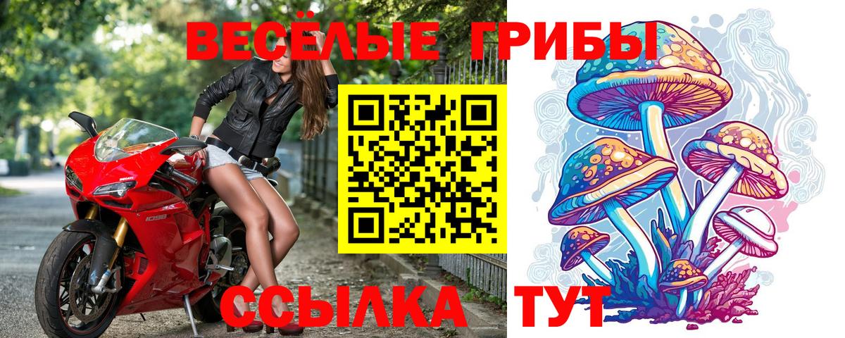 Псилоцибиновые грибы MAGIC MUSHROOMS Назарово
