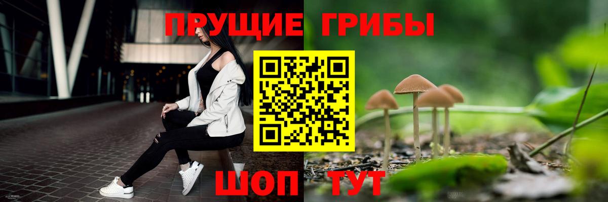 продажа наркотиков  Вход с VPN  Назарово  Псилоцибиновые грибы прущие грибы 